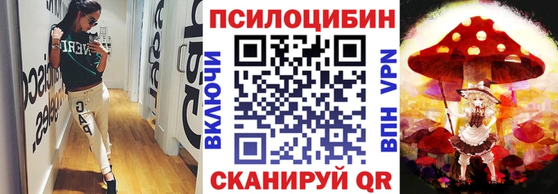 Купить закладки  Пудож  Галлюциногенные грибы прущие грибы 